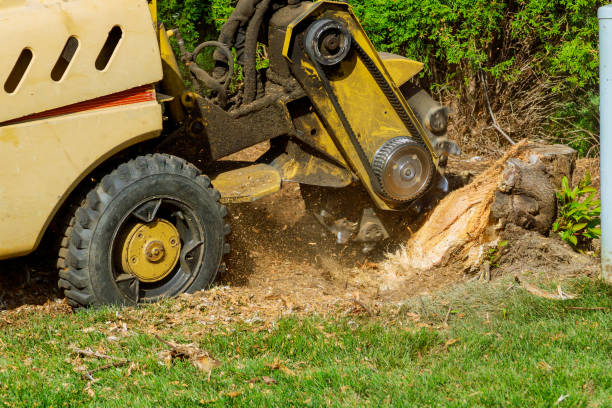 Best Soil Testing and Treatment  in Armonk, NY