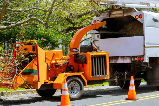 Best Lawn Grading and Leveling  in Armonk, NY