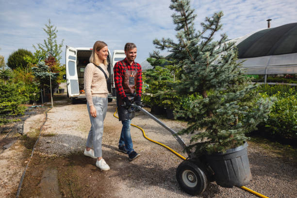 Professional Tree Services in Armonk, NY